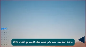 مئات الملايين.. دعم مالي ضخم يُعلن للأسر مع اقتراب 2025